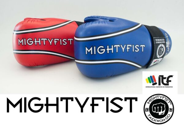 Polyurethane Sparring Gear (ITF Approved) - Image 5